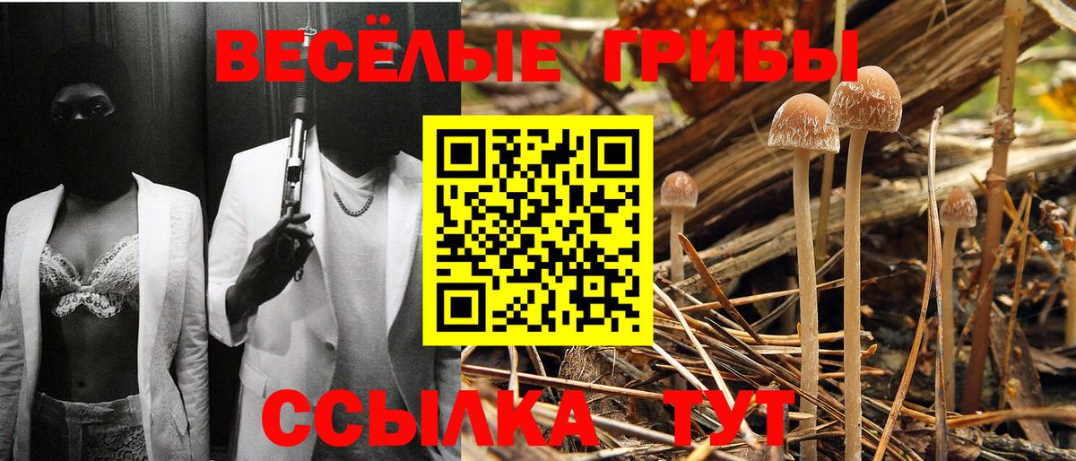 Псилоцибиновые грибы GOLDEN TEACHER  Галлюциногенные грибы Psilocybe  Вход с VPN  Назрань 